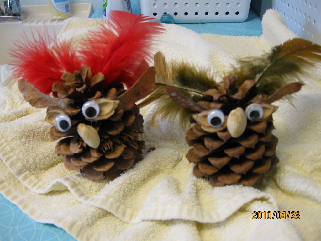 owls1